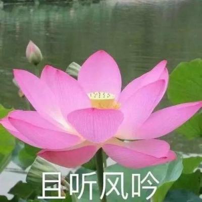 【境内疫情观察】云南瑞丽中高风险区域清零（5月4日）